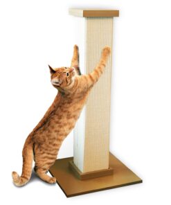 Cat Scratching Posts