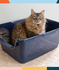 Cat Litter Pans